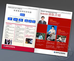 古鎮(zhèn)燈飾畫冊與廣告設(shè)計 專業(yè)代理服務(wù)助您點亮品牌